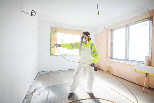 Best Basement Mold Removal  in Dayton, VA